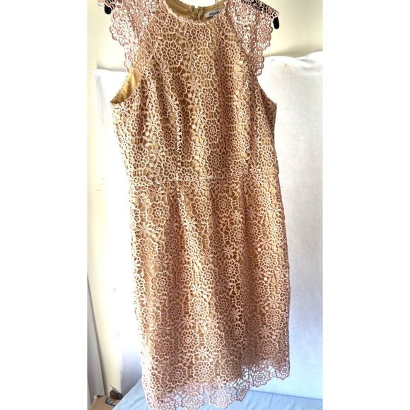 Minuet Lace Rose Gold Dress Cap Sleeves Dress Size Large - Picture 4 of 15